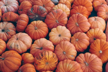 Free pumpkin composting to be available at recycling centers throughout Summit County