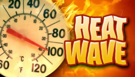 EXTREME Heat Wave and How to Handle It