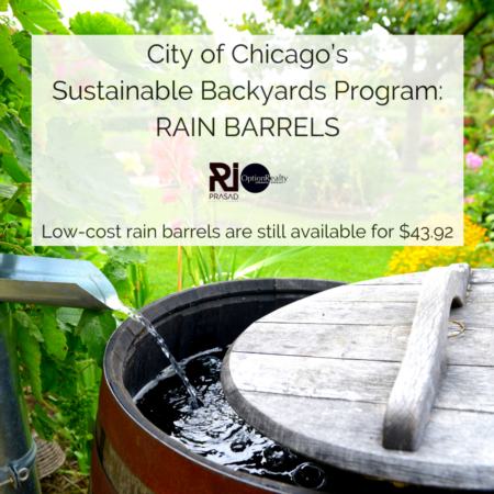 Roll out the (rain) barrel!