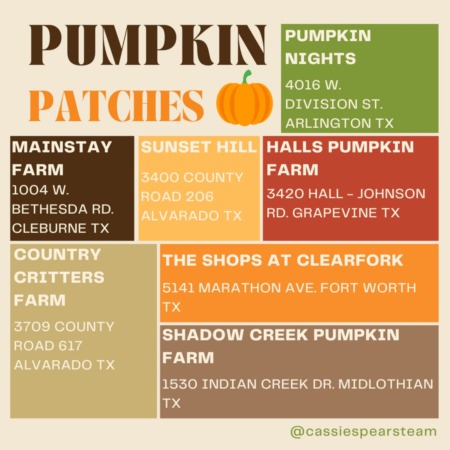 DFW 2022 Best Pumpkin Patches