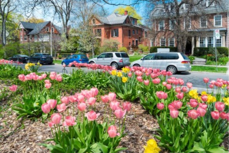 Discover the Magic of Toronto: Your Ultimate Real Estate Guide