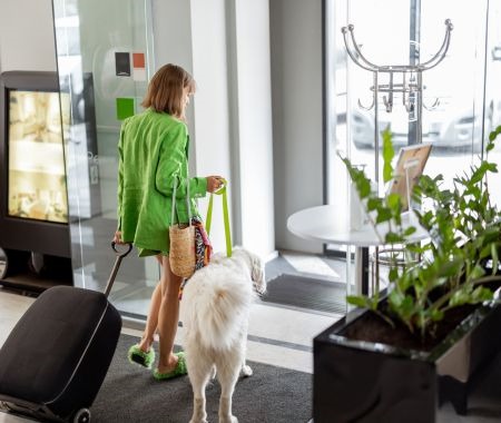 Check Out These Pet-Friendly Luxury Condos in LA