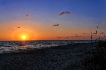 Sarasota-Bradenton area named Number 1 in U.S. for well-being