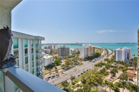 PODS Names Sarasota Top Location for Moves in United States