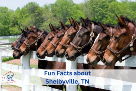Fun Facts About Shelbyville TN