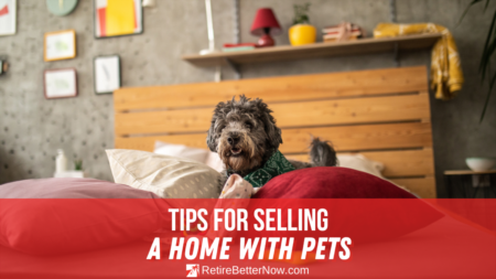 Top 8 Tips for Selling a Home with Pets