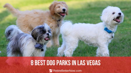 Best Las Vegas Dog Parks