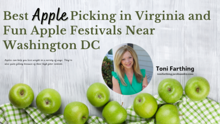 Best Apple Picking in Virginia and Fun Apple Festivals Near Washington DC
