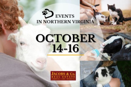 You Really AUTUMN Know What’s Going On This Weekend! Northern VA Events (OCT 14-16)