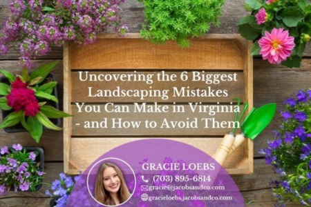 Uncovering the 6 Biggest Landscaping Mistakes You Can Make in Virginia - and How to Avoid Them