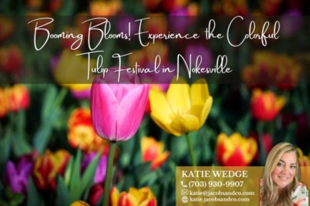 Booming Blooms! Experience the Colorful Tulip Festival in Nokesville