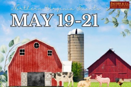 Whats-Up This Weekend in Northern Virginia? Get Ready to Have Some Fun!