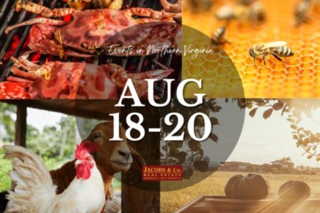 Relaxing and Fun August Weekend in NOVA – The Best Things to See and Do!