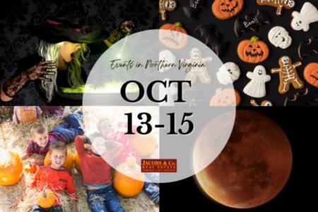 Fabulous NOVA Events to Enjoy This Fall - Get Out and Enjoy the Autumn Weather!