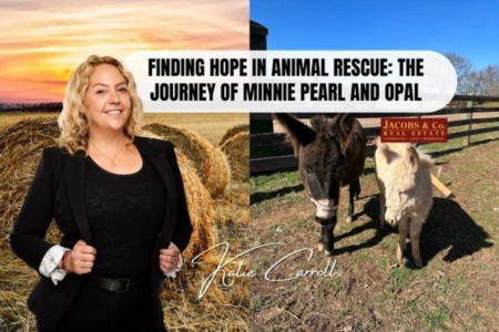 Finding Hope in Animal Rescue: The Journey of Minnie Pearl and Opal