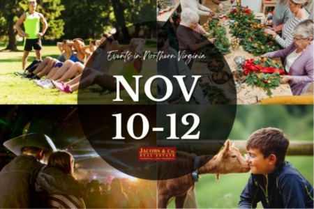 Uncovering the Magic of NOVA This November Weekend - A Handy Guide to Explore Fun Events!