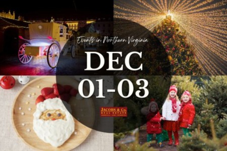 Your Guide to a Joyful First Week of December in Northern Virginia!
