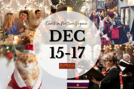 Make this December Memorable with these amazing NOVA Weekend Events!