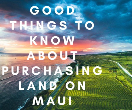 Good Things to Know About Purchasing Land on Maui