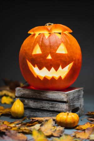 Check out Jack-o'-lanterns at Night of 1000 Jack-o'-lanterns at Chicago Botanic Garden