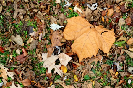 Get your Home Ready for Winter in North Shore Chicago