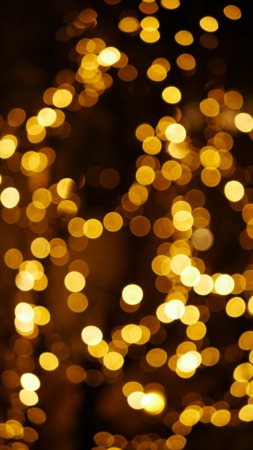 Enjoy Holiday Fun at Lightscape in Glencoe starting November 12