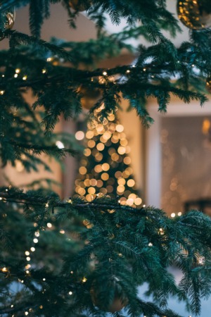 Check out Winnetka's Annual Tree Lighting on December 3