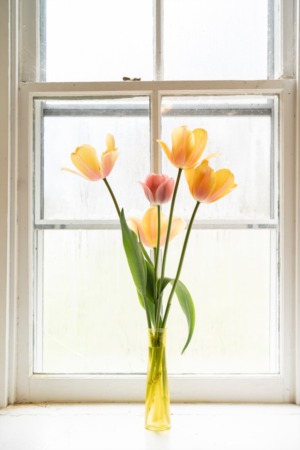The Best Time to Sell Your Home: Springtime 