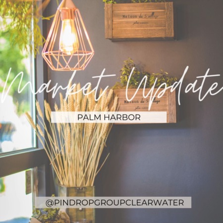 Palm Harbor Market Update May 2022