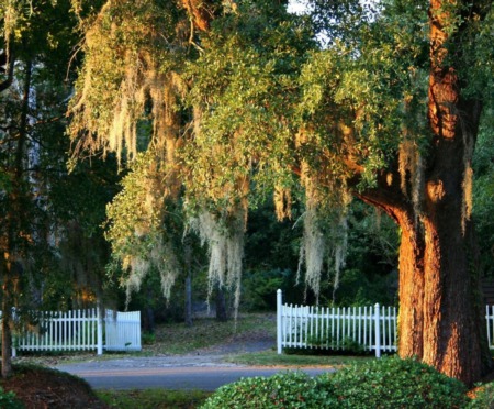 Despite Hurricane Matthew Home Sales Remain Steady