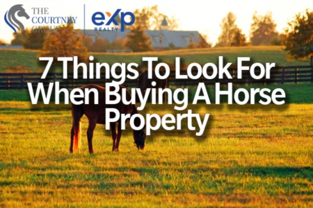 7 Things To Look For When Buying A Horse Property