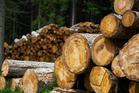 The 'Lumber Bubble' May Have Just Burst