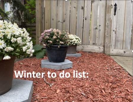 Getting Your Edmonton Home Ready For Winter