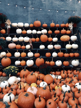 4 Ideas for Pumpkin Decorations