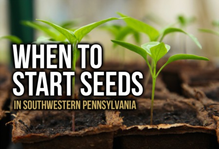 When to Start Seeds in Southwestern Pennsylvania