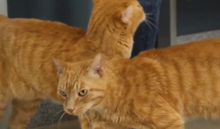 Meet Kodak & OJ