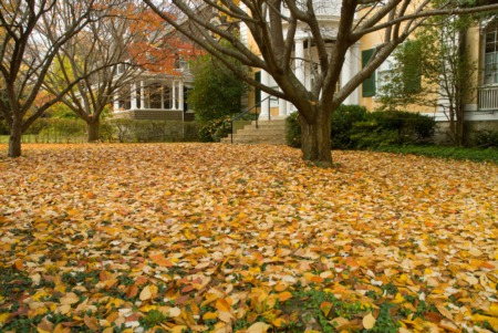 Heading Into Fall: Some Must Do's Before Winter Hits