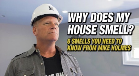 Why Does My House Smell? Trust Your Nose