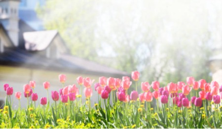 Maintaining Your Home in the Spring