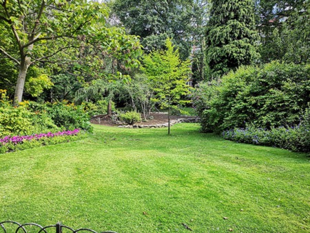Caring For Your Wooded Backyard of Your Naperville Home