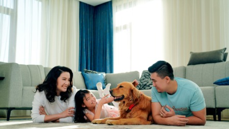 What to Look for in a Pet-Friendly Home