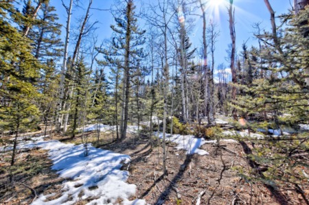 How to live in Park County, and commute to the metro area