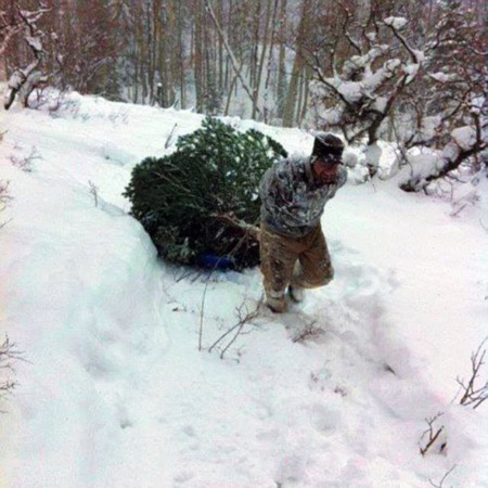 Firewood And Christmas Trees
