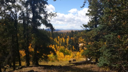 Hiking Trails, Park County CO