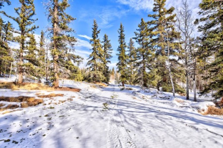 Five Reasons to love SNOW!