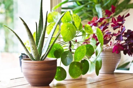 7 Places You're Forgetting to Clean