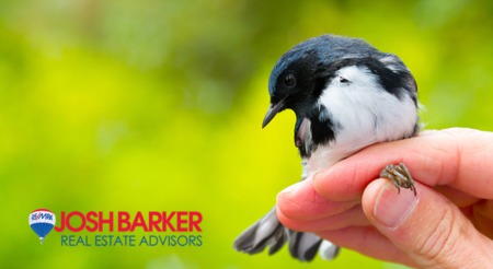A ‘Buyer’ in Hand is Worth Two in the Bush