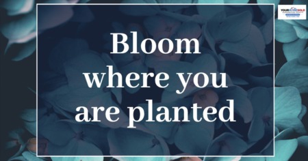 Bloom where you are planted. ??