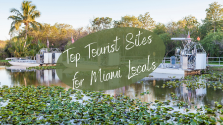 Top Tourist Sites for Miami Locals and Tourists