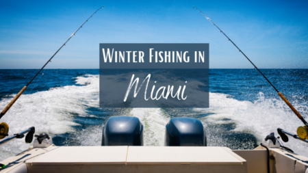 Winter Fishing in Miami